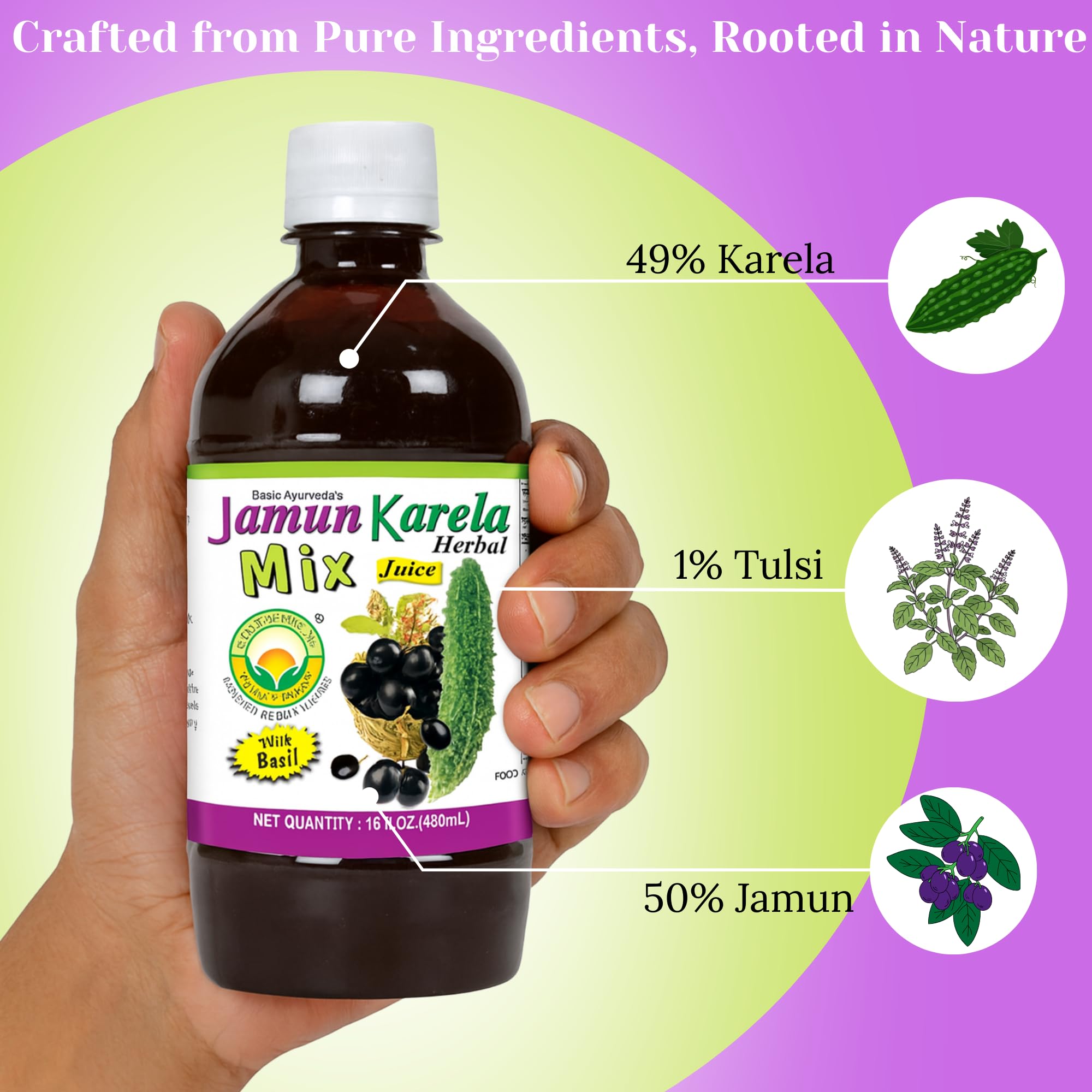 BASIC AYURVEDA Jamun Karela Herbal Mix Juice with Holy Basil | 16.23 Fl Oz (480ml) | Natural Indian Black Berry & Bitter Gourd Juice | Plant-Based