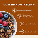 Erin Baker’s Homestyle Double Chocolate Granola with Ancient Grains - Made from Natural Ingredients, Crunchy, Versatile Snack or Cereal - Vegan