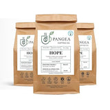 Pangea Coffee Hope Light Roast 3-Pack Bright, Smooth, Low Acid Coffees Organic, Allergen-Free, Specialty Grade Arabica, Fresh Roasted Whole Bean, 3 x