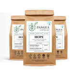 Pangea Coffee Hope Light Roast 3-Pack Bright, Smooth, Low Acid Coffees Organic, Allergen-Free, Specialty Grade Arabica, Fresh Roasted Whole Bean, 3 x