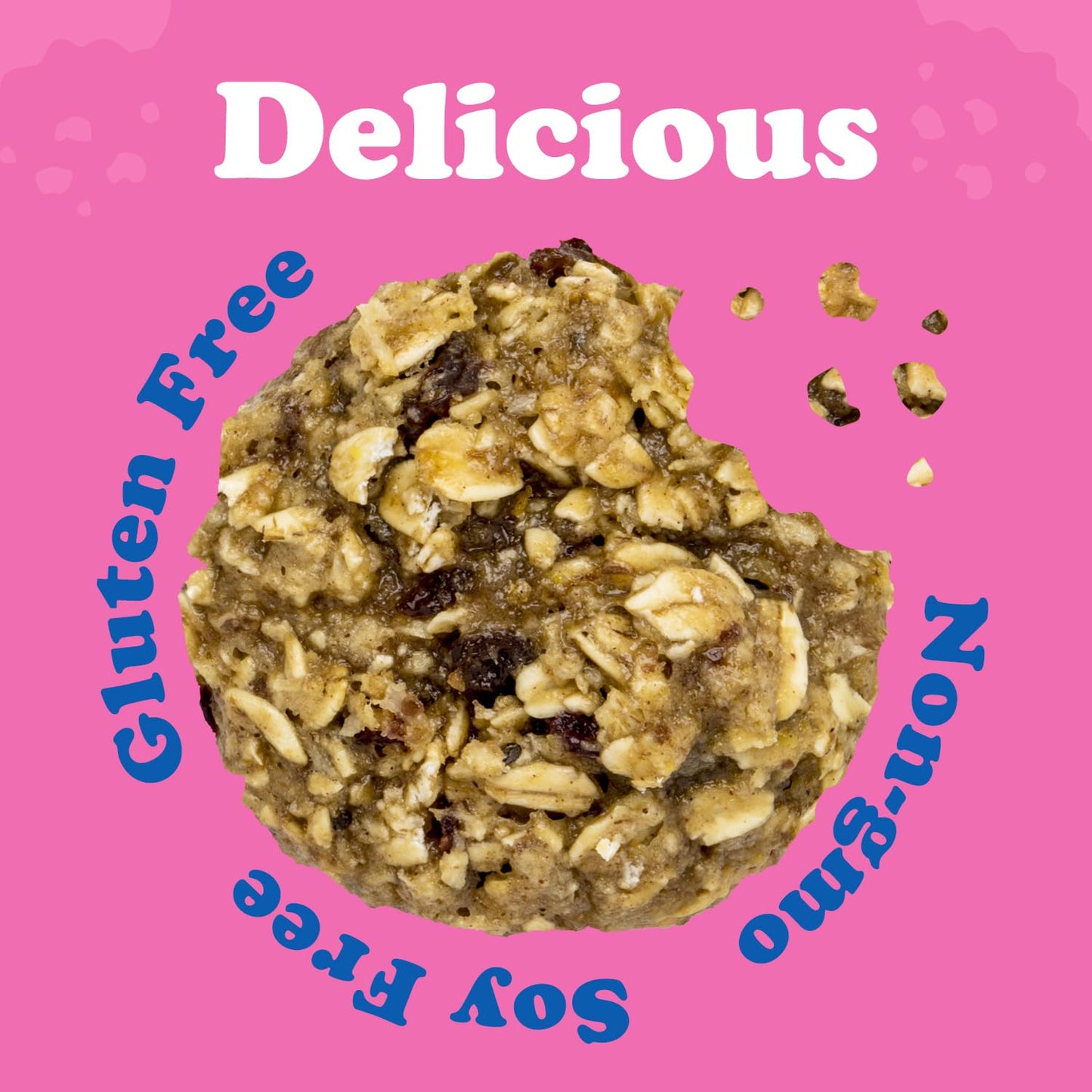 Alyssa’s Oatmeal Bites ? Gluten Free Cookies, Healthy Snacks from The Bakery ? Sugar Free Soft Cookies, Low Carb, Keto Protein Snacks ? Gluten Free