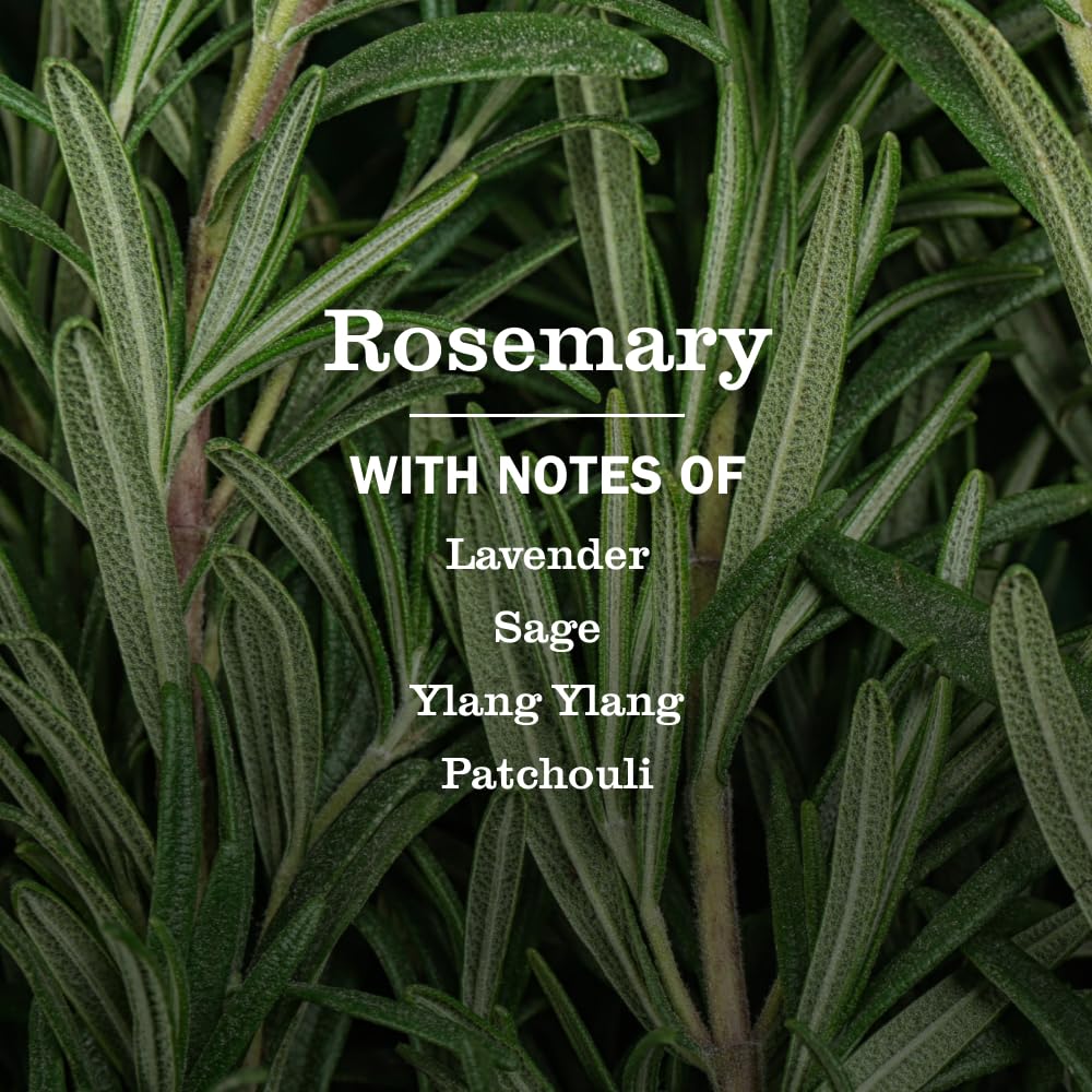 MRS. MEYER'S CLEAN DAY - Multi-Surface Everyday Cleaner - Rosemary - 16 fl oz - Case of 6