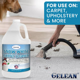 GELEAN Carpet Cleaner Shampoo - MADE IN USA - Concentrate Carpet Cleaner & Deodorizer - Pet Stain And Odor Remover - Rug Extracting Shampoo