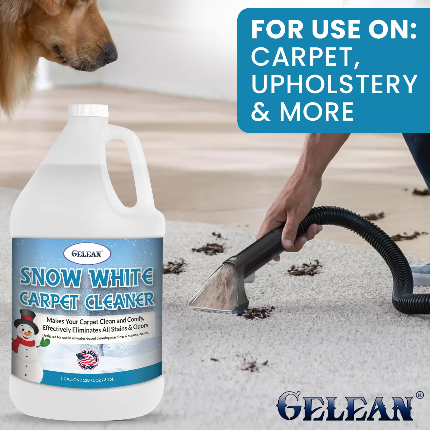 GELEAN Carpet Cleaner Shampoo - MADE IN USA - Concentrate Carpet Cleaner & Deodorizer - Pet Stain And Odor Remover - Rug Extracting Shampoo