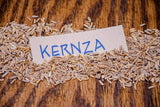 Sprouted Crisps - Kernza - Perennial Wheat Cracker Crisp - 4 oz, 5 pack