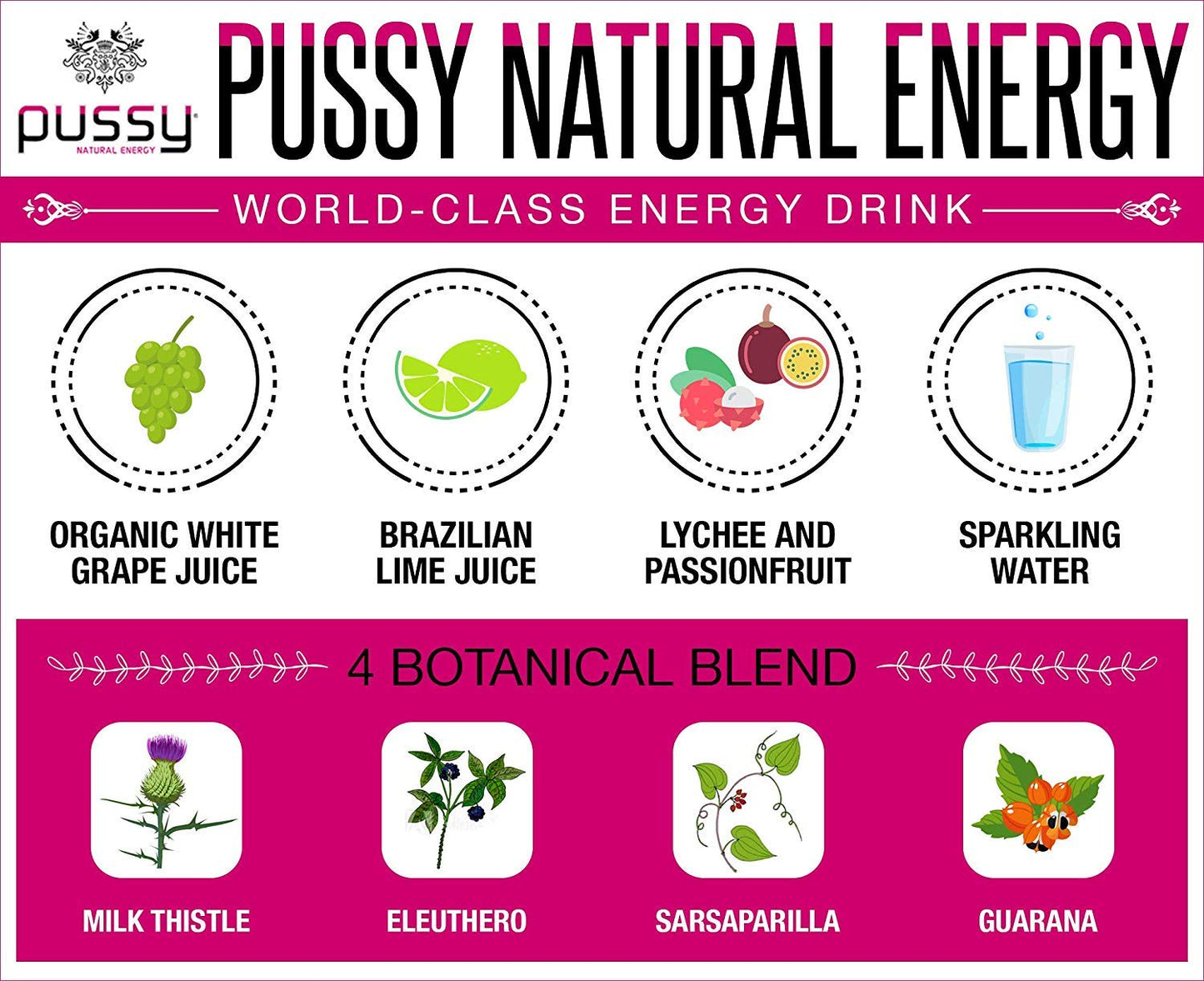 Pussy Natural Energy Drink (250ml - Pack of 4)