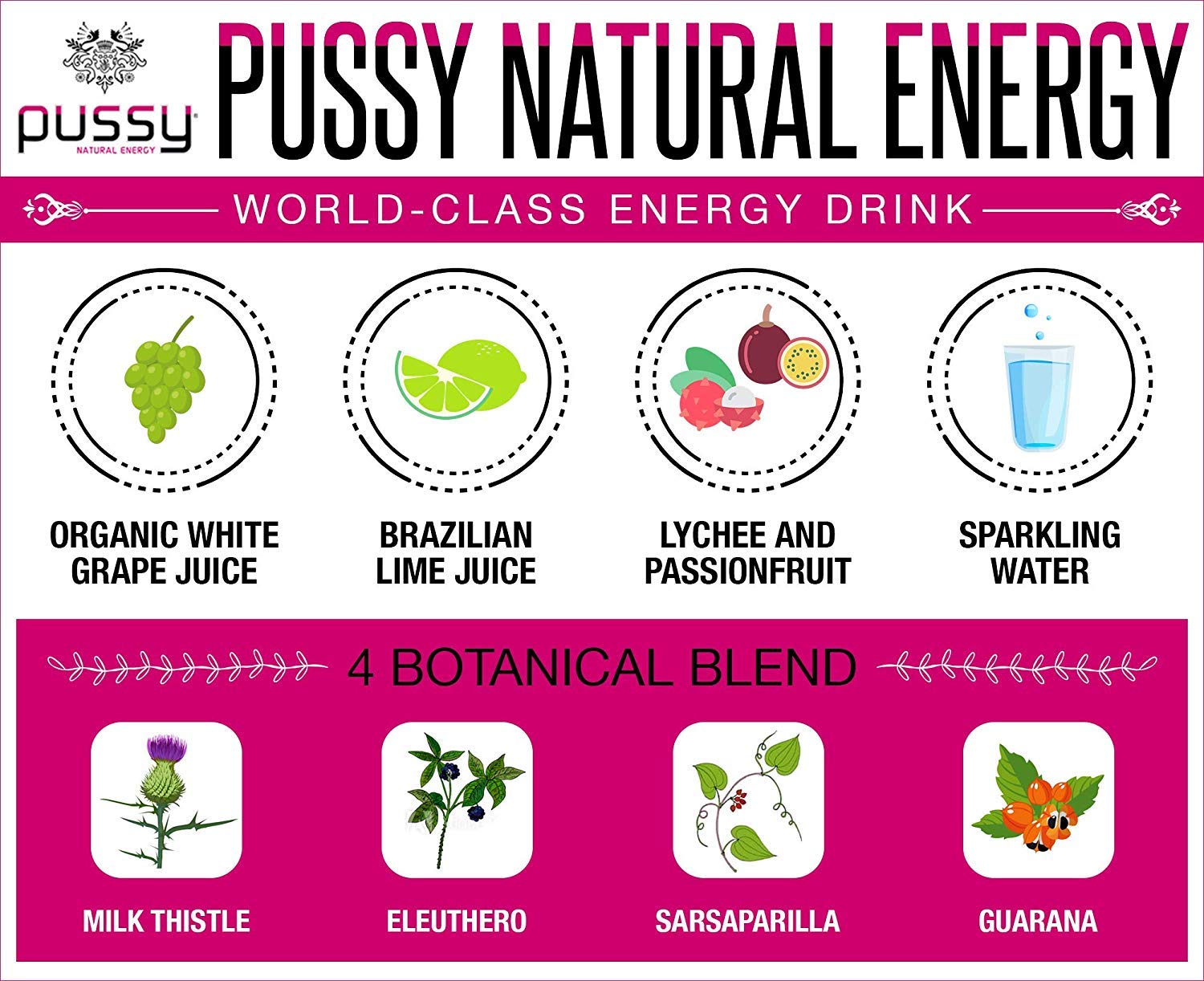 Pussy Natural Energy Drink (250ml - Pack of 4)