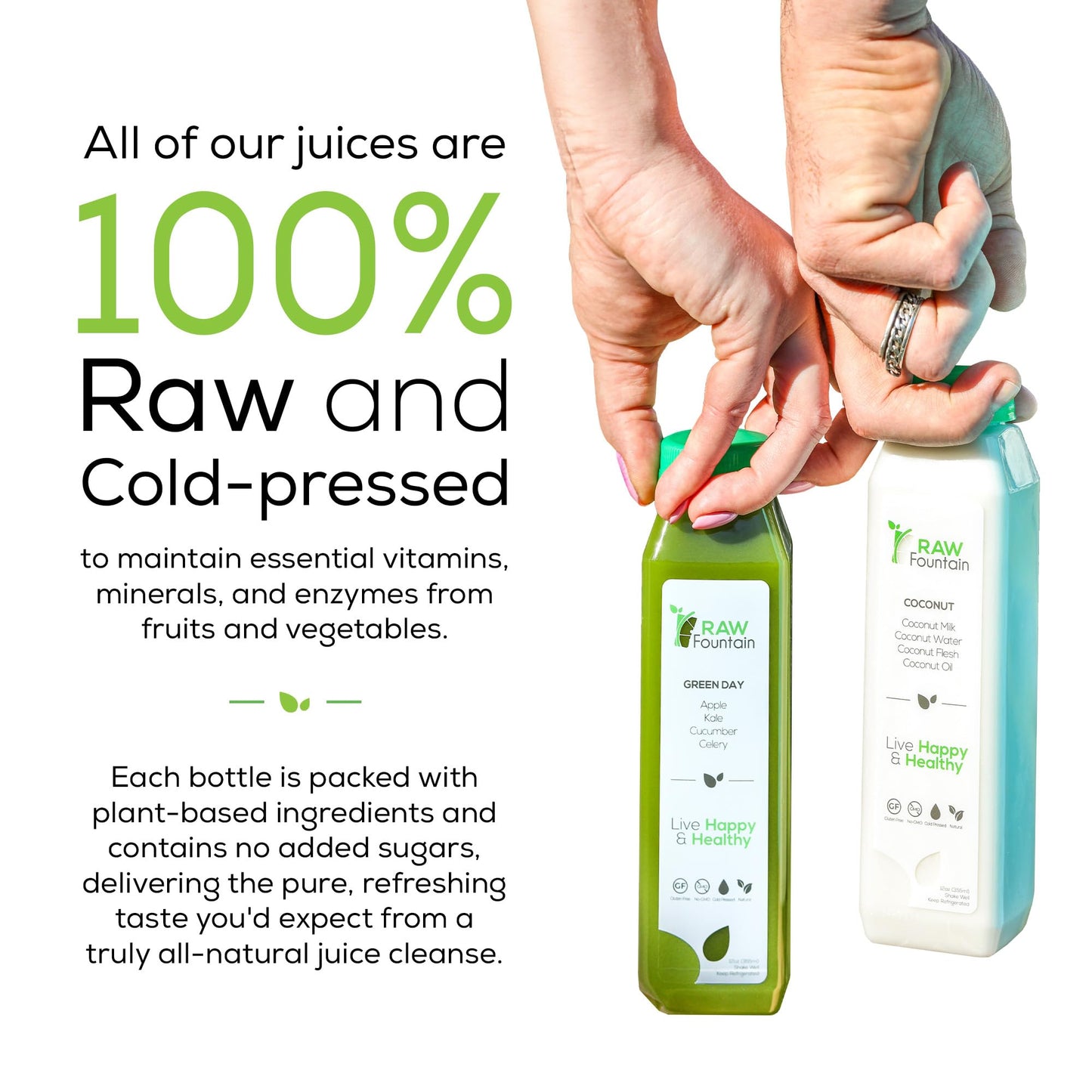 1 Day Juice Cleanse by Raw Fountain, Tropical Flavors, All Natural Raw, Cold Pressed Fruit and Vegetable Juices, Detox Cleanse, Kosher, Vegan, NO