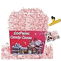 MINI CANDY CANES (200 MINI CANDY CANES) | Mini Candy Canes Peppermint Flavored | Red & White Stripes - Individually Wrapped Gift Pack | Holiday Candy