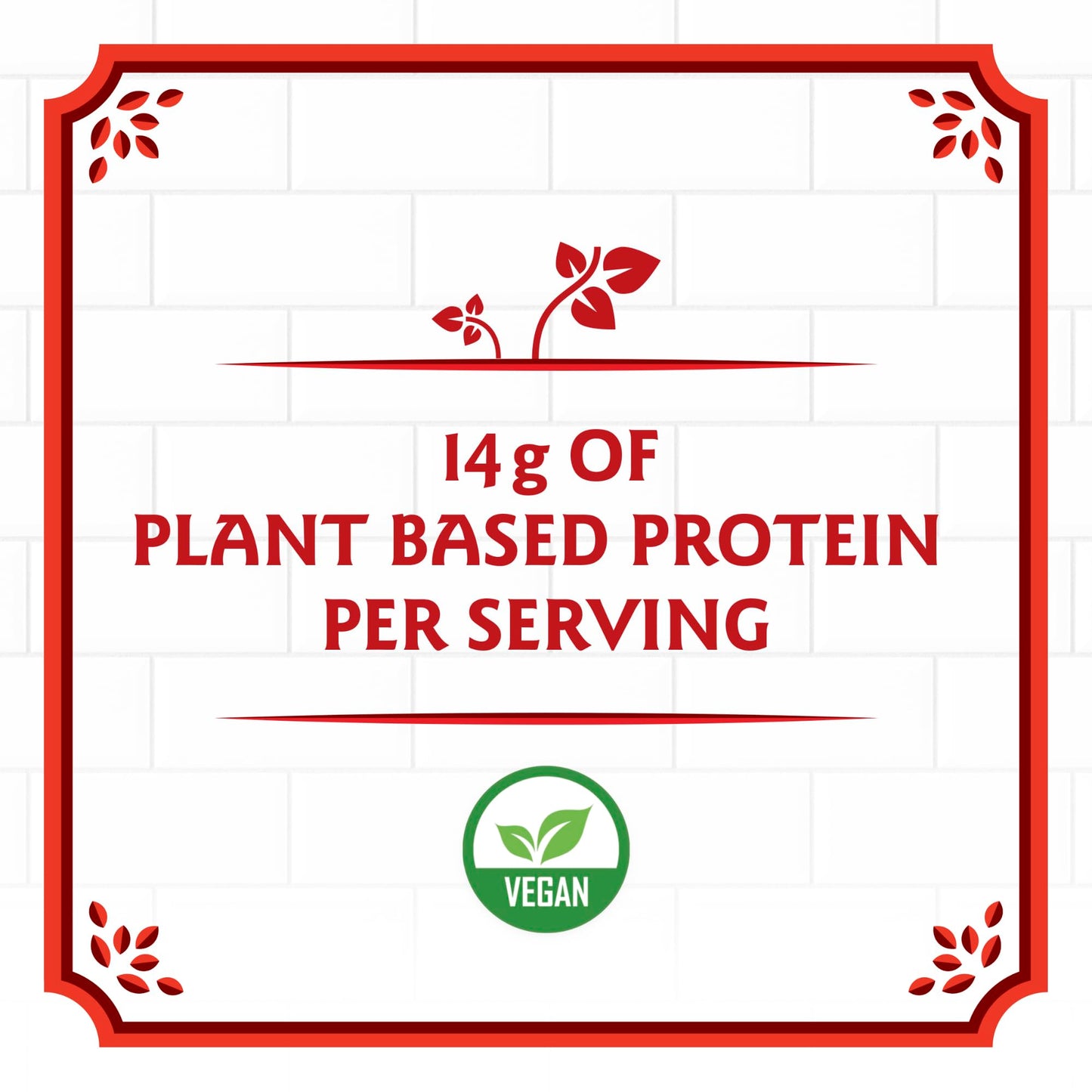 Birch Benders Plant Protein Pancake & Waffle Mix, Vegan, 14g Plant-Based Protein, Just Add Water, 14 oz (Pack of 6)