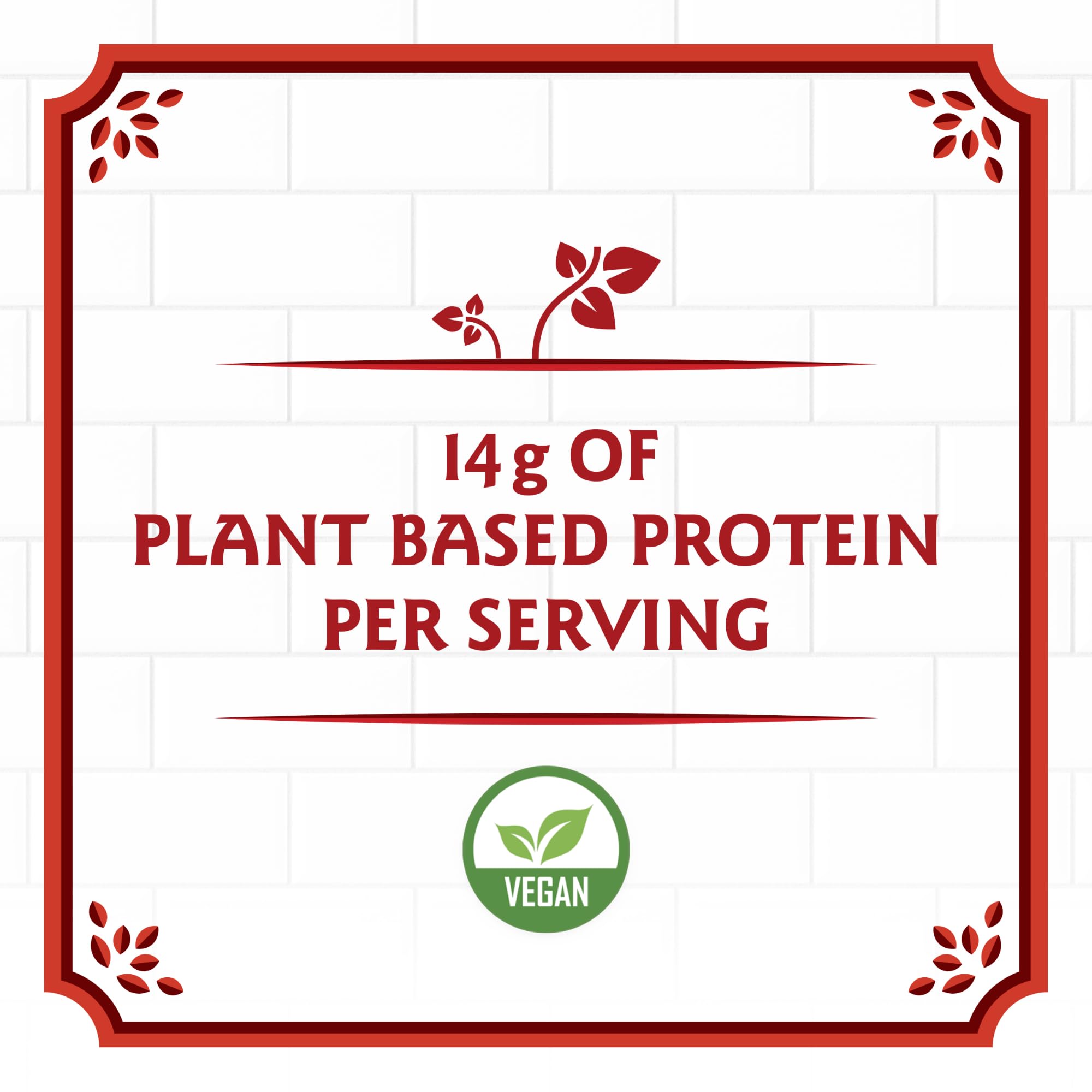 Birch Benders Plant Protein Pancake & Waffle Mix, Vegan, 14g Plant-Based Protein, Just Add Water, 14 oz (Pack of 6)