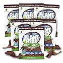 Nature's Answer Plant Head Real Meal Replacement Powder, Chocolate, 30g Protein, 15g Fiber, Vegan, Gluten-Free, Single Servings, 2.5 oz Travel