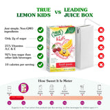 True Lemon, Fruit Punch Packets Low Sugar No Preservatives Kids Hydration Drink Mix, 1.38 Ounce