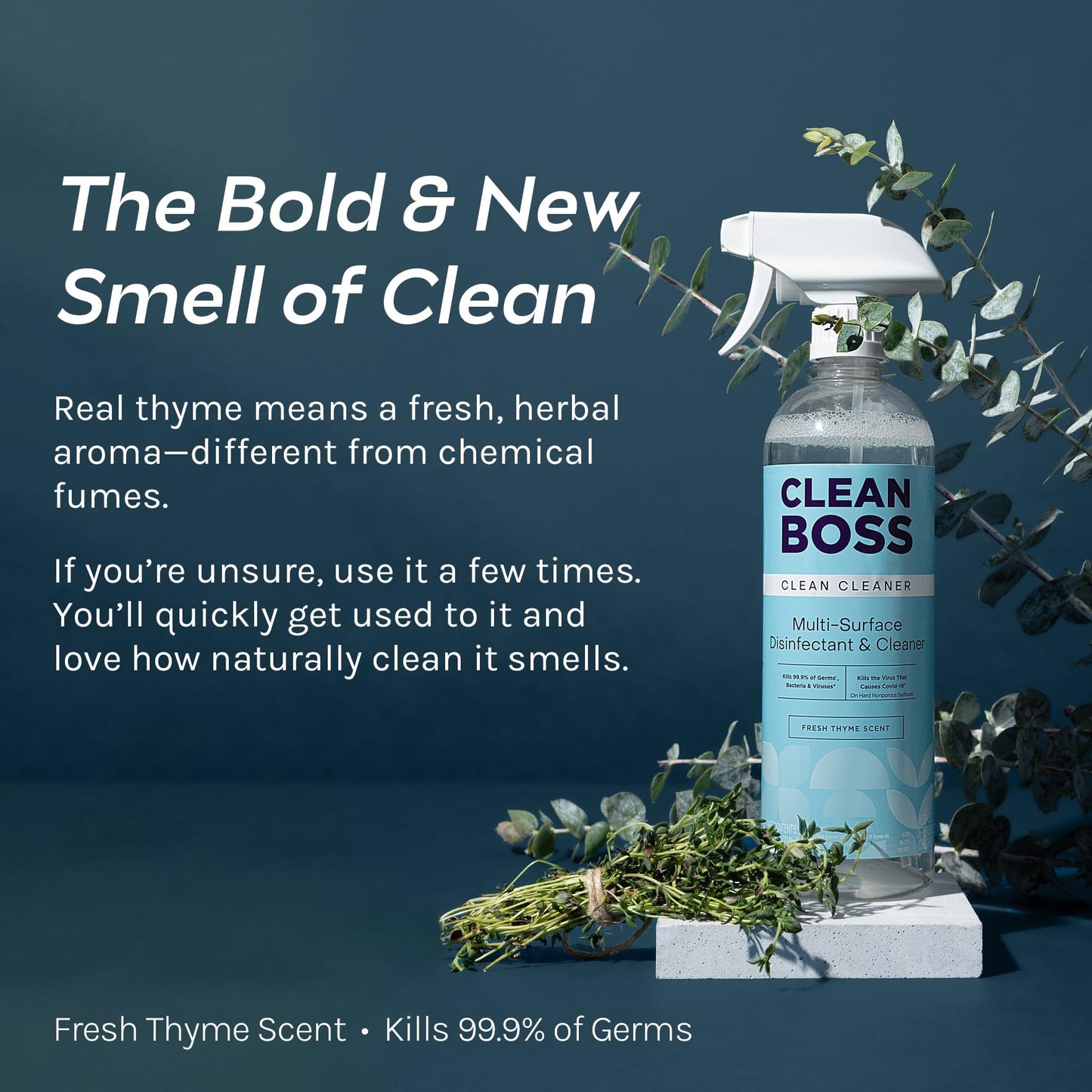 CleanBoss Botanical Disinfectant - 24 oz (Pack of 2) - Multi-Surface Cleaner - Kills 99.9% of Germs + Cold & Flu Viruses - Fresh Thyme Scent - No