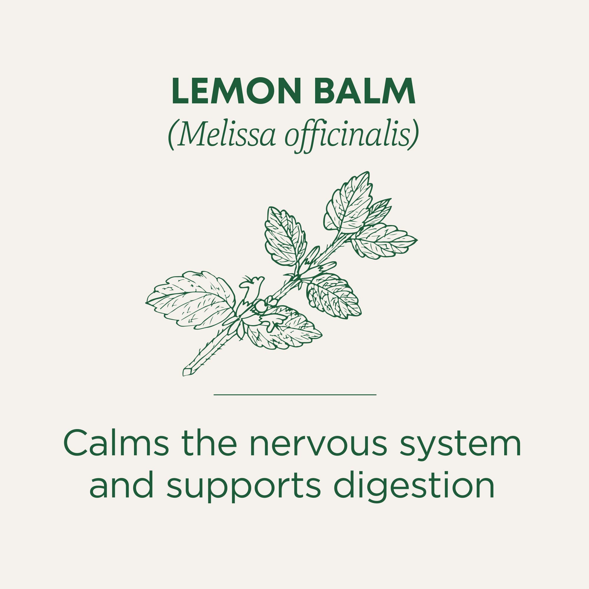 Herb Tea, 95% organic, Lemon Balm , 16 bag (pack of 6 ) ( Value Bulk Multi-pack)
