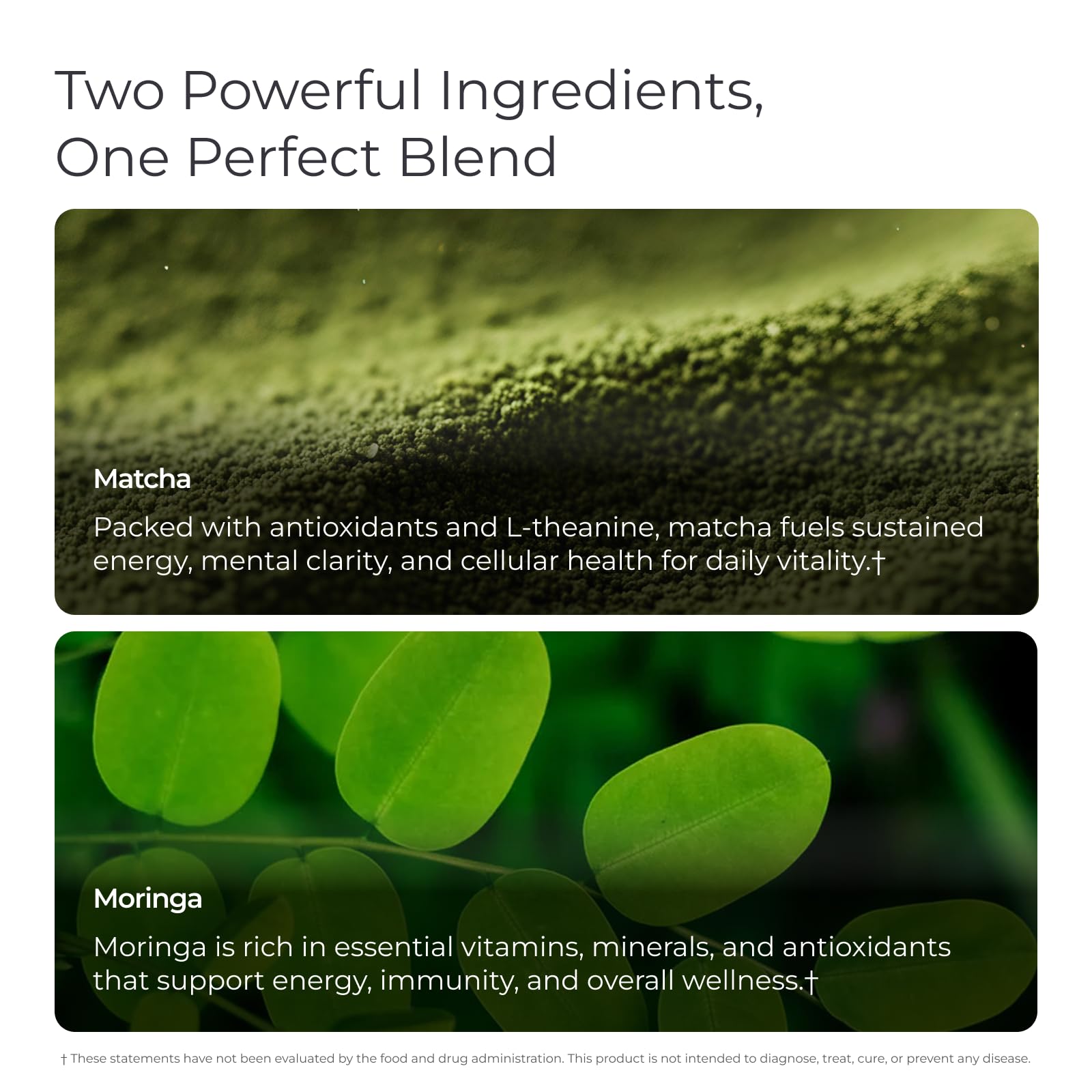 Livingood Daily Matcha + Moringa Powder, 30 Servings - 2in1 Matcha Powder and Moringa Supplement for Radiant Skin - Instant Green Tea with L Theanine