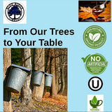 BLUE RIDGE TIMBERS Pure Grade A Maple Syrup, 100% Natural, Organic USA Harvested from our trees to your kitchen table