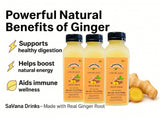 SaVana DrinKs Ginger Juice, 12 oz (15?Pack) - Natural Ginger Wellness Drink with Pineapple & Lemon for Immunity, Energy & Gut Support