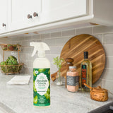 Absolute Green All Purpose Cleaner Spray, Non-Toxic, Kitchen, Bathroom, Countertop, Windows, Safe around Kids and Pets, Natural Peppermint Scent, 25