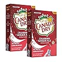 LLE Canada Dry Powder Drink Mix Cranberry Ginger Ale Flavor, Sugar Free & Delicious Water Enhancer Easy to Prepare Powdered Beverages for Picnic