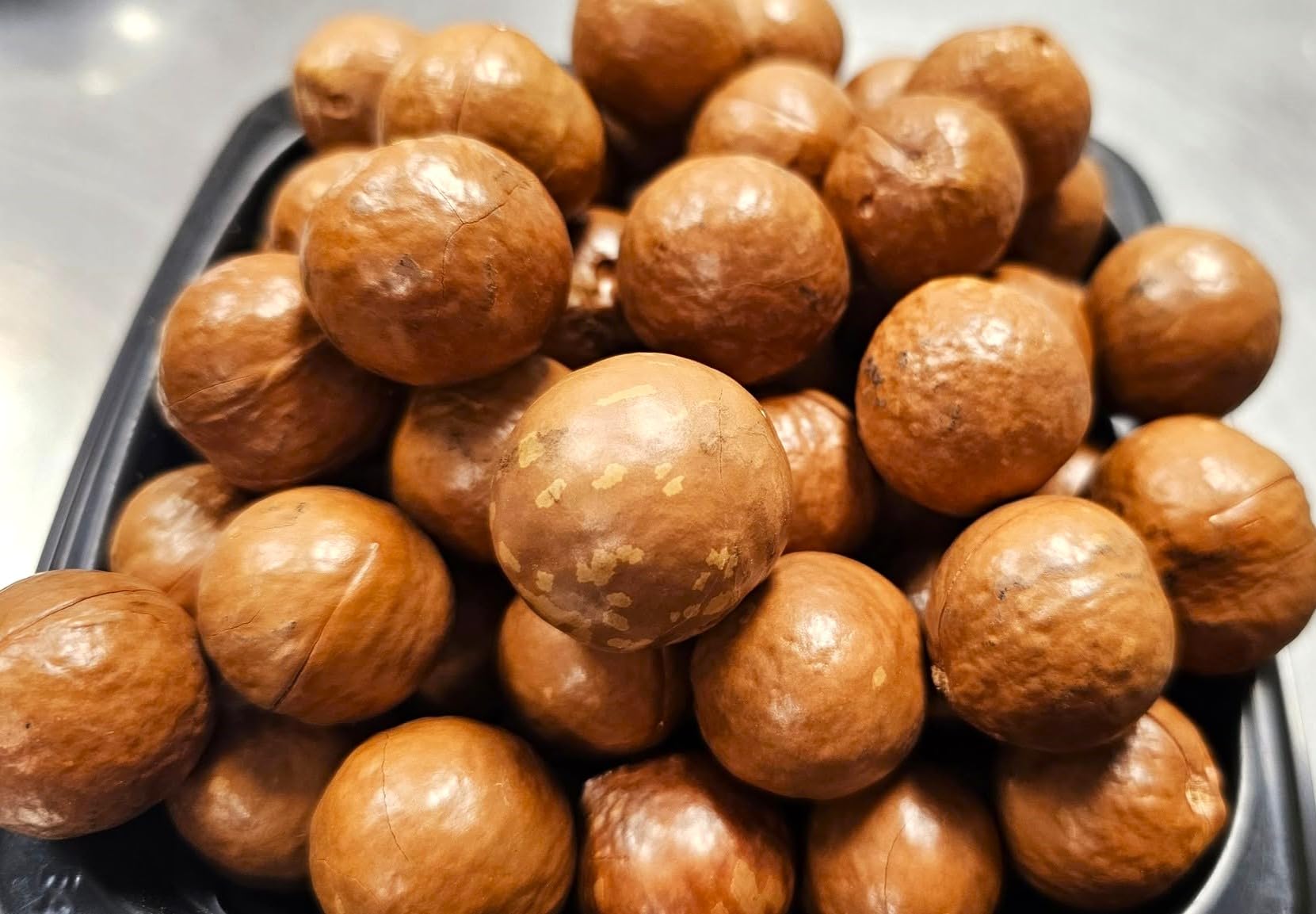 Macadamia Nuts - In shell (whole) Medium size (5 LB)