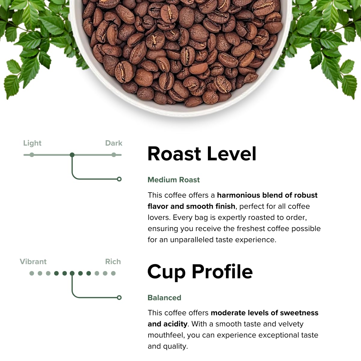 Rothrock Coffee - Singlespeed - Medium Roast - K-Cups - Specialty Coffee Pods - Single Serve - Signature Blend - Balanced & Versatile Roast - Fruity