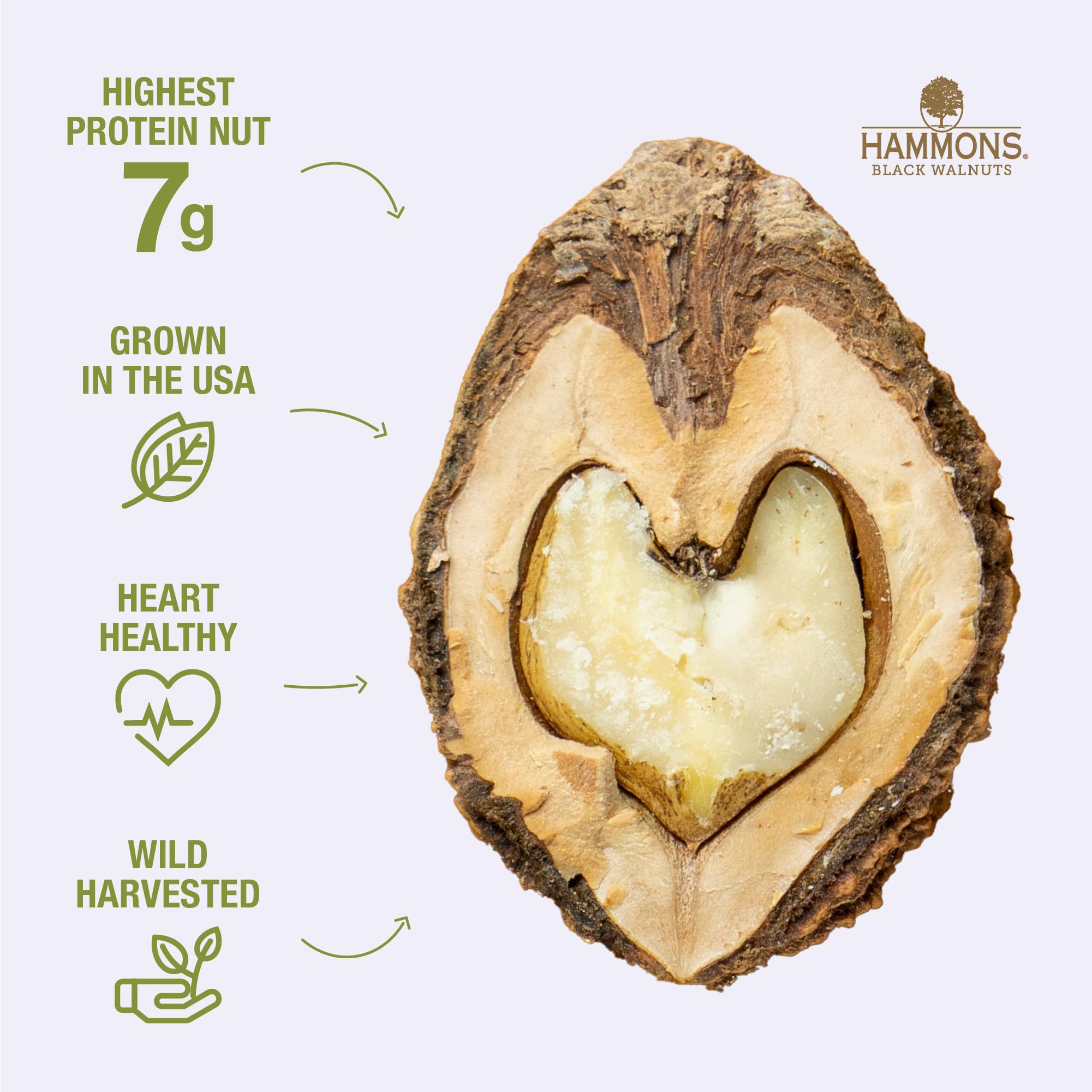 Hammons Black Walnuts - Wild Harvested - Non-GMO, Gluten Free, High Protein, Keto Snack - Recipe Ready Nuts Great for Cooking and Baking - 8oz