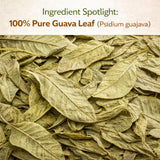 Hojas de Guayaba Herbal Tea - 4 oz (113 g) - 100% Natural Wildcrafted Guava Leaf Loose Leaf Tea - Caffeine-Free, Vegan, Non-GMO, Gluten-Free