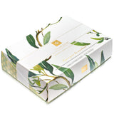 Teabloom Radiant Greens - Organic Green Tea Sampler with 12 Plant-Based Pyramid Sachets, Jasmine Pearls, Minted Mango Peach & Pineapple Ginger