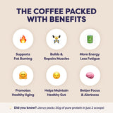 White Chocolate Mocha Protein Iced Coffee - 20 Servings