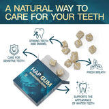 Remineralizing Gum with Hydroxyapatite & Xylitol - Daily Sugar-Free Gum for Enamel Support and Oral Health (18 Count (Pack of 4))