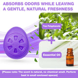 Air Jungles Shoes Deodorizer Ball 12 Ct, Lavender Scent, Odor Remover Balls for Sneakers, Gym Bags, Lockers, Closets, Hampers, and Drawers, Essential