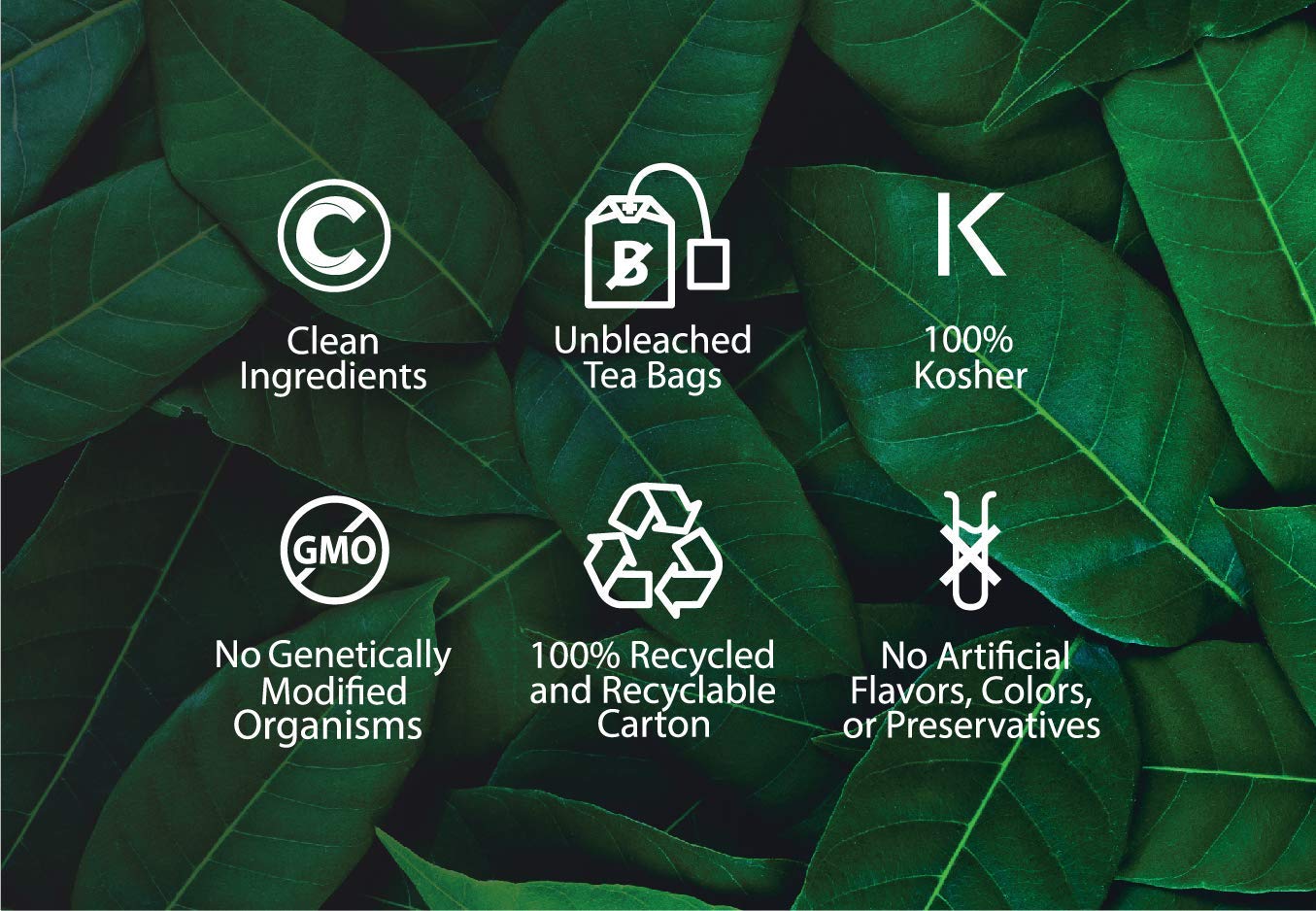 Buddha Teas Organic Blackberry Leaf Tea - OU Kosher, USDA Organic, CCOF, 18 Bleach-Free Tea Bag