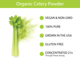 KOYAH - Organic USA Celery Powder (1 Scoop = 1/4 Cup Fresh): 36 Servings, Freeze-dried, Whole-Stalk Powder
