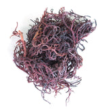 Purple Irish Sea Moss | Organic Irish Moss Raw | Wildcrafted & Sun-Dried from St. Lucia | 100% Natural | High in Nutrients & Minerals | Makes 50oz+