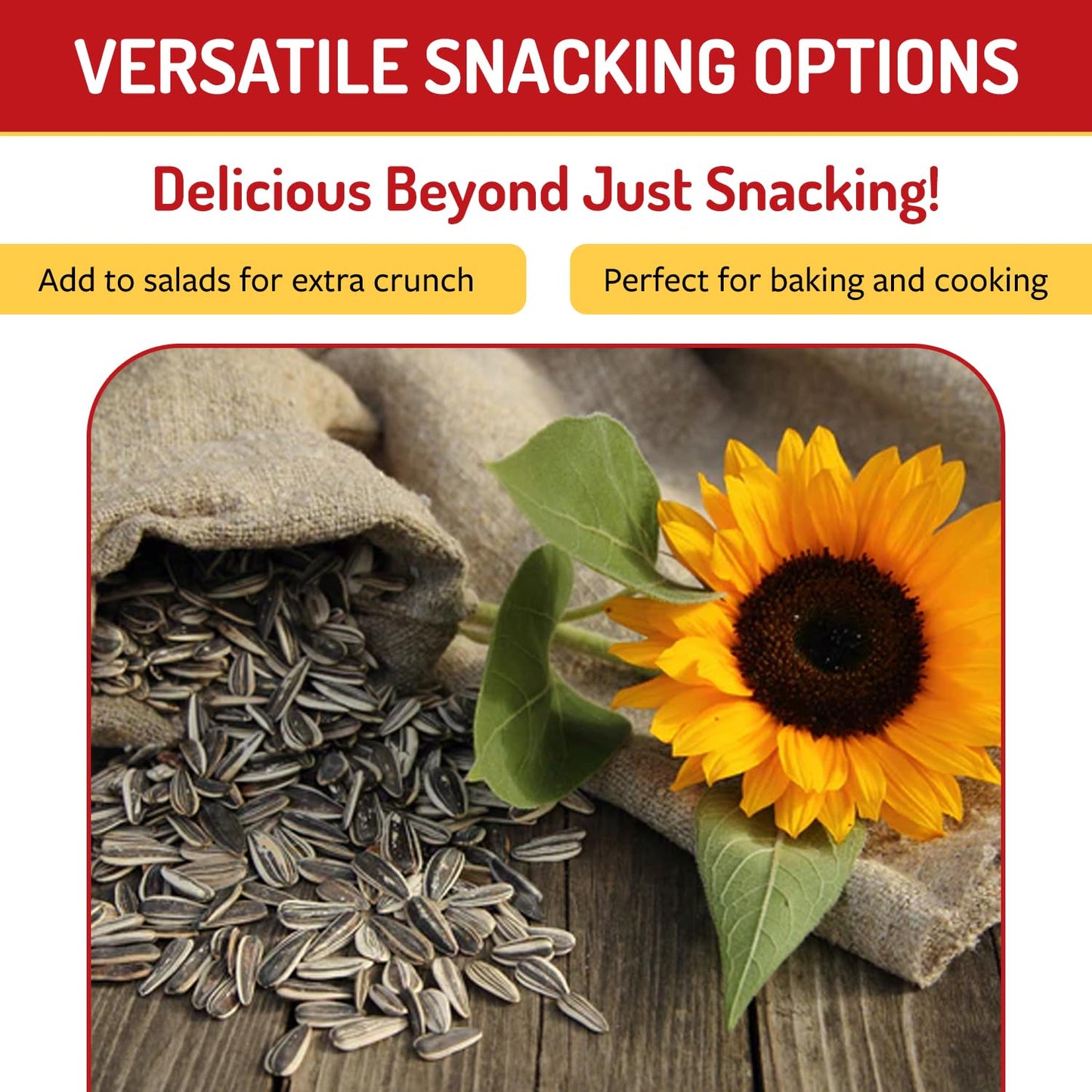 Babkini Semechki Sunflower Seeds - Non GMO Seed Packed with Protein& Fiber - Roasted Sunflower with Resealable Zip Lock Packaging - 48 Pack (300g)