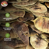 Angel Brand Senna Pods - 0.5 Pouch, Pack of 3 - Senna Pods for Tea and Traditionals Uses.