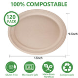 Vabrloy Oval Paper Plates, 120 Pack 12 inch, 100% Compostable, Heavy Duty, Biodegradable Sugarcane Plates for BBQ, Restaurant, Picnic, Party