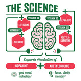 Brainjuice Brain Health Support Drink for Energy & Focus, Vitamin C, B5, B6 & B12, L Theanine, Alpha GPC & Natural Caffeine From Green Tea, Vegan