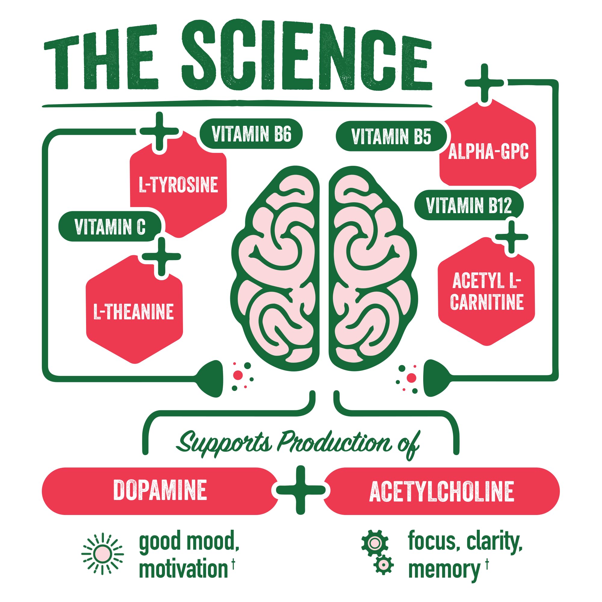 Brainjuice Brain Health Support Drink for Energy & Focus, Vitamin C, B5, B6 & B12, L Theanine, Alpha GPC & Natural Caffeine From Green Tea, Vegan