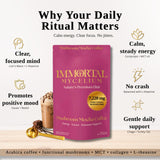 Immortal Mycelium Mushroom Mocha - Arabica Coffee with Lion’s Mane, Cordyceps, Reishi, Turkey Tail & Chaga - Adaptogenic Mocha Coffee Alternative - 15