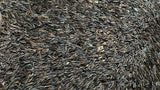 Organic Wild Rice (1)