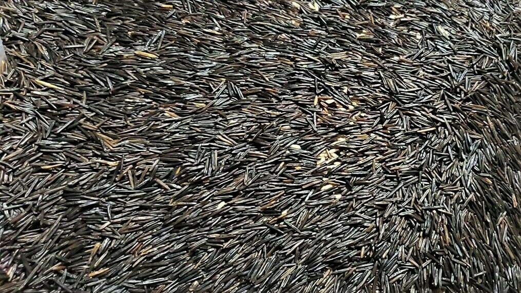 Organic Wild Rice (1)