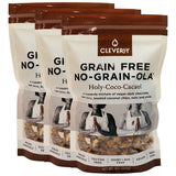NO-GRAIN-OLA - Grain Free Granola | Paleo Friendly Healthy Snacks | Natural, Dairy Free, Soy Free, No Refined Sugars, Non GMO (8oz bags, 3 Bags Per