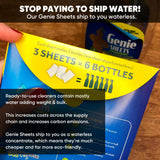 Genie Sheets Glass & Mirror Cleaner | Concentrate Makes 6 24oz Refills | Professional-Strength | Just Add Water | Sustainable Eco-Friendly Plant-Based
