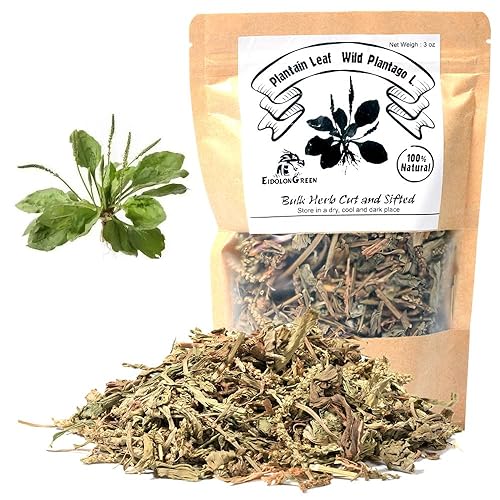 EidolonGreen [China Medicinal Herb] Plantago Ovata/Plantain Leaf Tea (Cheqiancao/???/???) Herbal Tea, 3 oz (88g) - Perfect for Daily Enjoyment