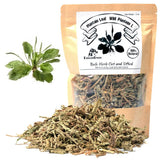 EidolonGreen [China Medicinal Herb] Plantago Ovata/Plantain Leaf Tea (Cheqiancao/???/???) Herbal Tea, 3 oz (88g) - Perfect for Daily Enjoyment