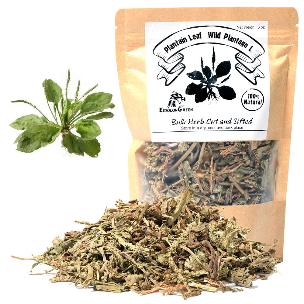 EidolonGreen [China Medicinal Herb] Plantago Ovata/Plantain Leaf Tea (Cheqiancao/???/???) Herbal Tea, 3 oz (88g) - Perfect for Daily Enjoyment