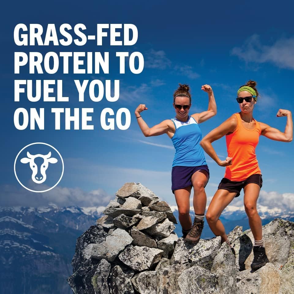 Orgain Organic Protein Shake, Grass Fed Dairy, Creamy Chocolate - 26g High Protein Whey Shake, Ready to Drink, Gluten Free, No Soy Ingredients, No