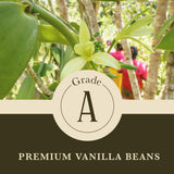 8 oz (1/2 lb) Organic Madagascar Whole Vanilla Beans, Grade A Vanilla Pods, Premium Vanilla Beans for Making Extract & Baking - Cook’s